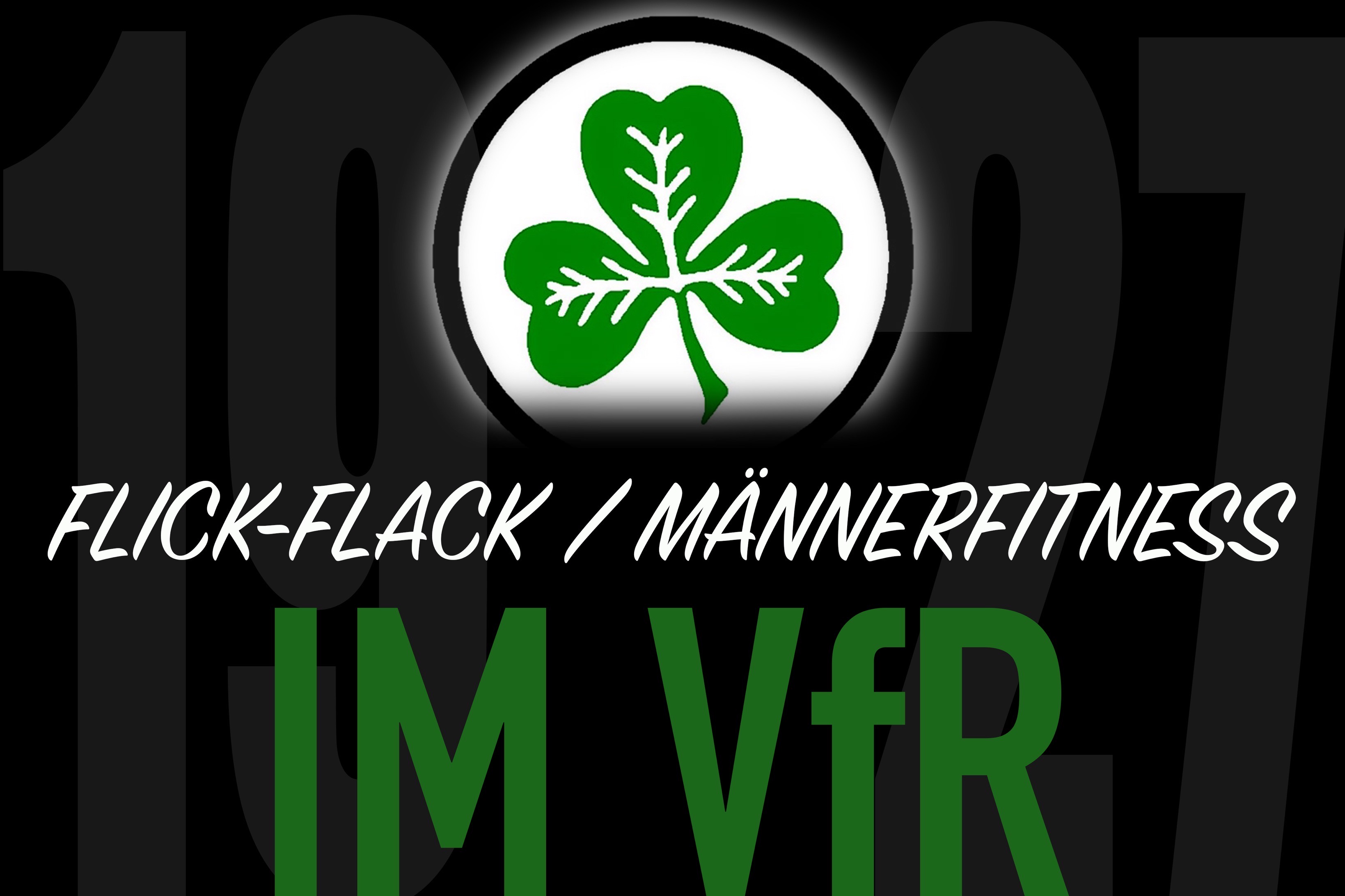 Logo VfR
